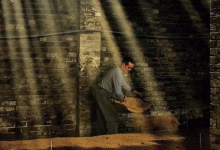 为什么只有中国白酒要加入酒曲?-优易酒业